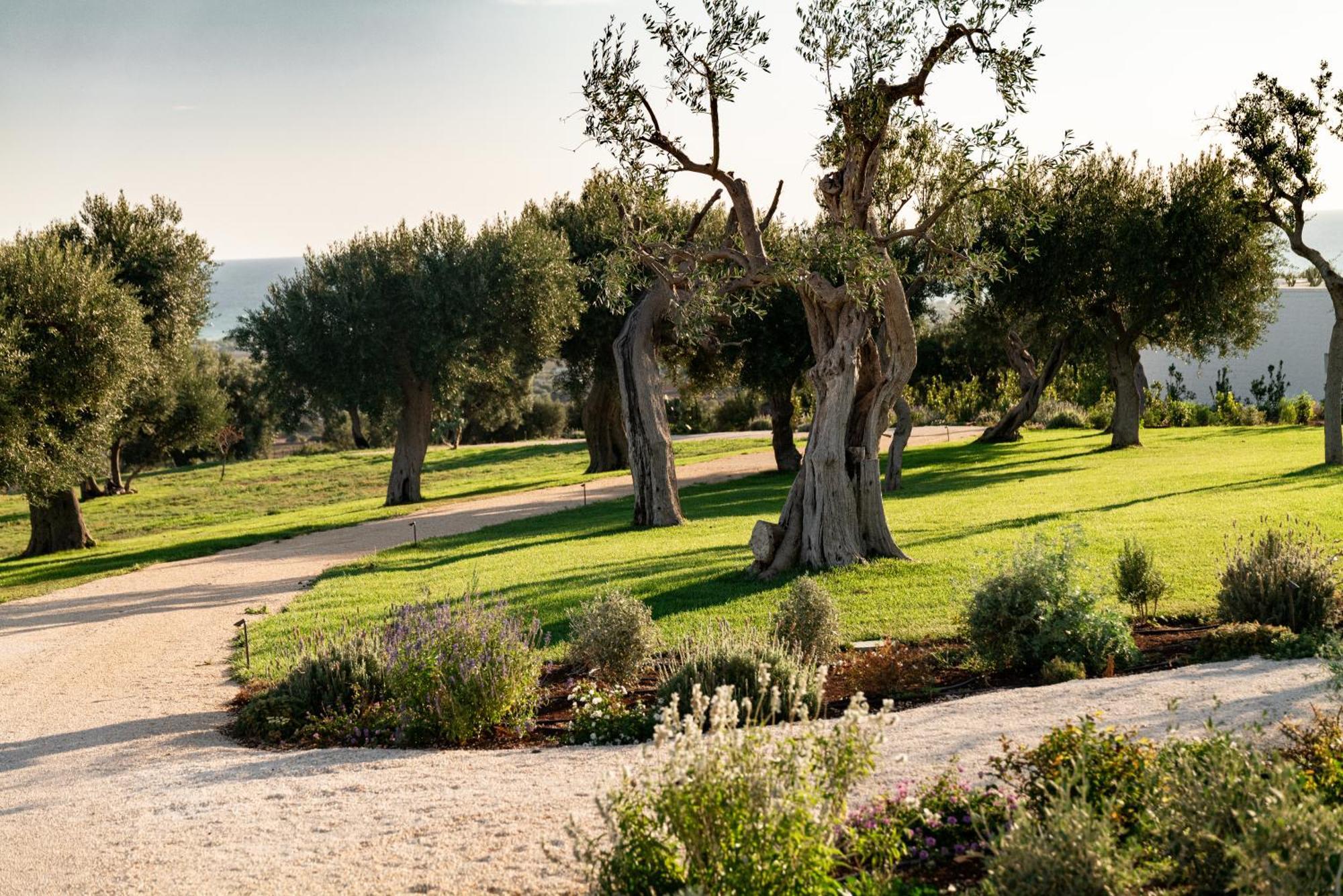 Masseria Auraterrae Polignano a Mare Exterior photo